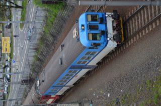 DSC_1529.JPG
