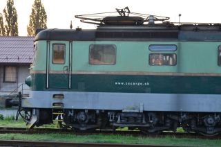 DSC_4396.JPG
