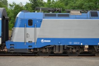 DSC_4811.JPG