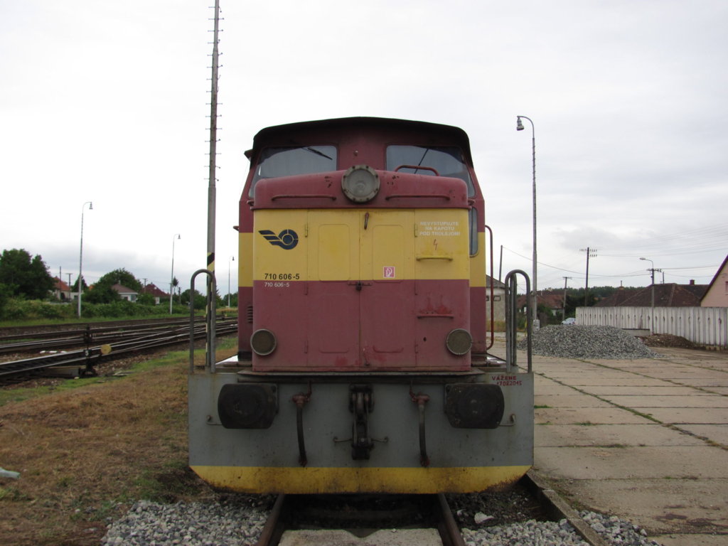 IMG_7985.JPG