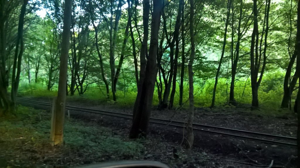 WP_20160814_18_07_58_Rich.jpg