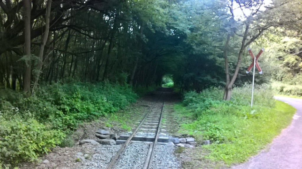WP_20160814_18_08_59_Rich.jpg