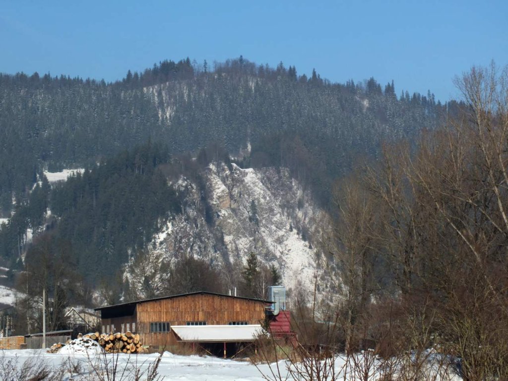 orava_04.jpg