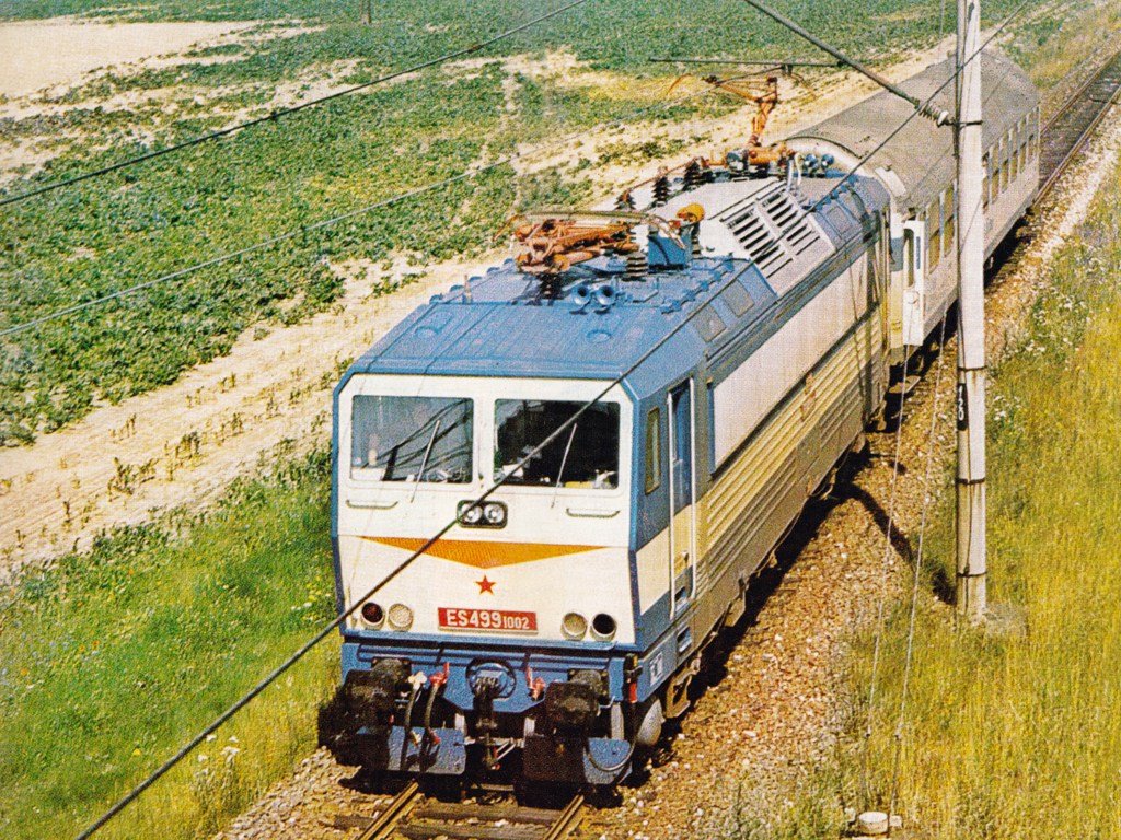 916051.jpg