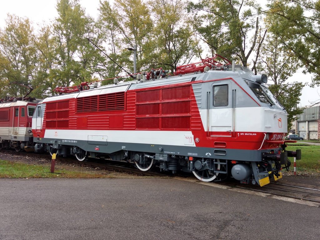 gorila_008_1.jpg