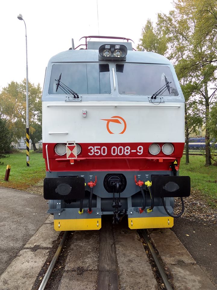 gorila_008_2.jpg