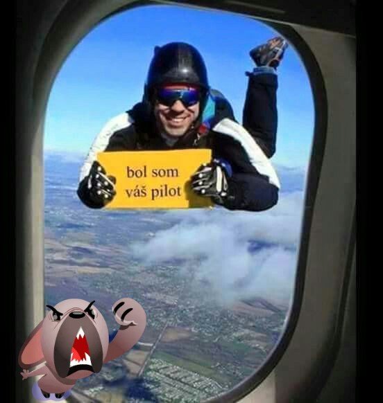 pilot.jpg