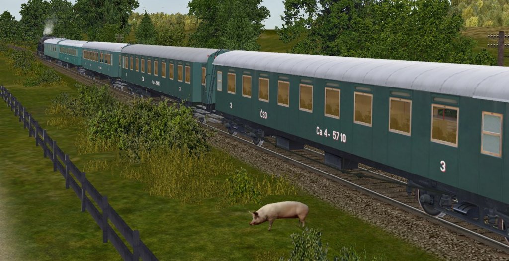 prasa.jpg