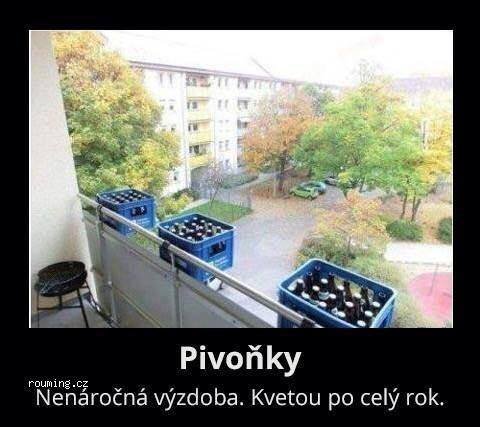 pivonky.jpg