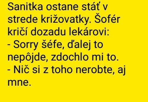 kamenak_01.jpg