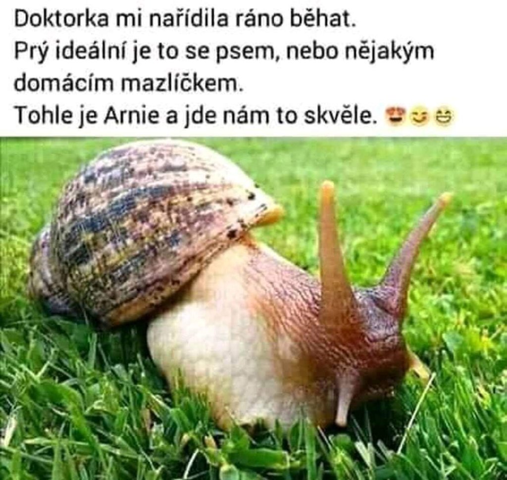 slimak.jpg