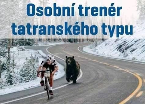 medved trener.jpg