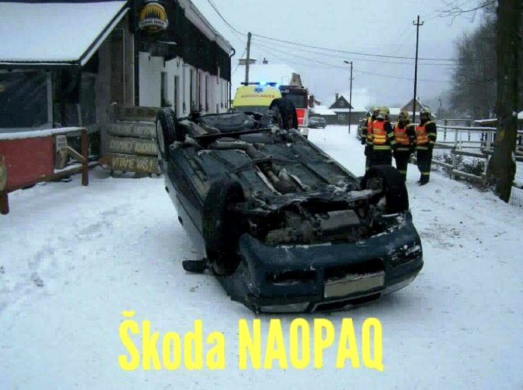 NaopaQ.jpg