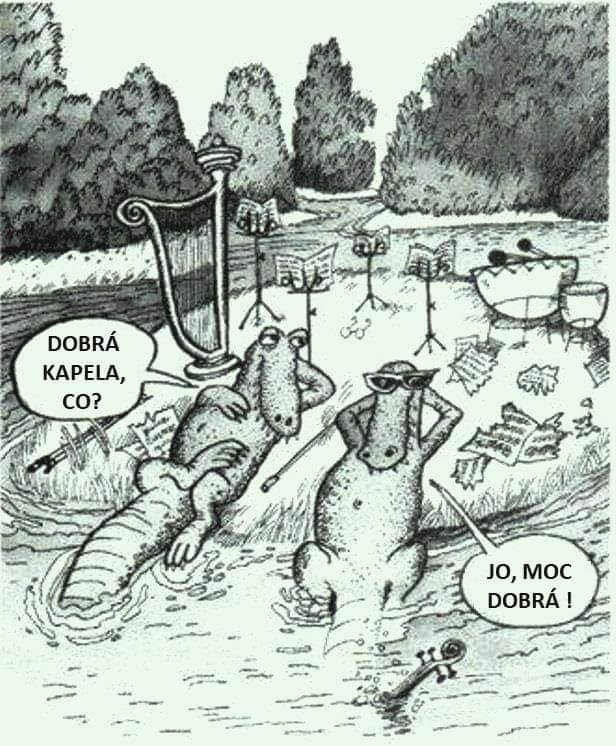 kapelakrokous.jpg