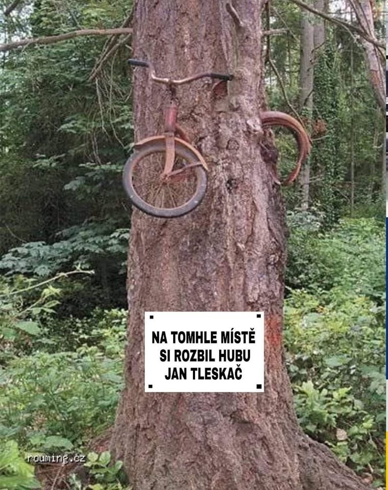 tleskac.jpg