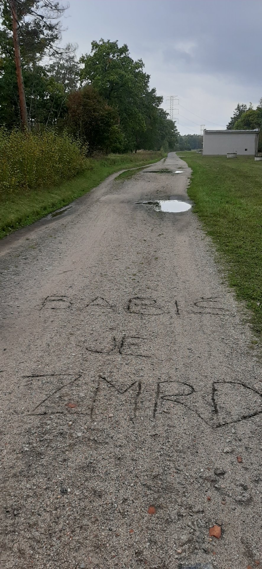 20201017_131005.jpg