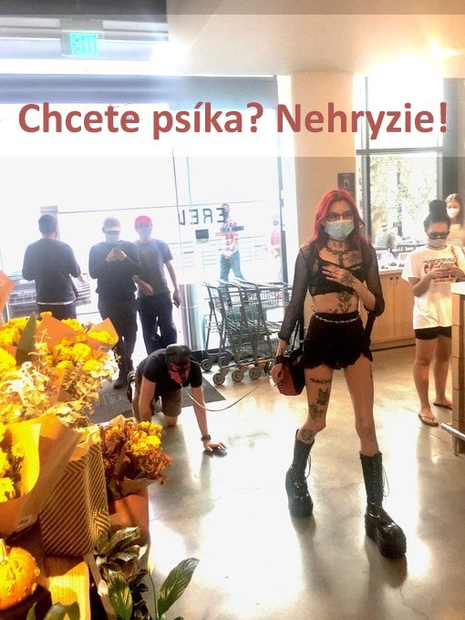 doggie_sk.jpg