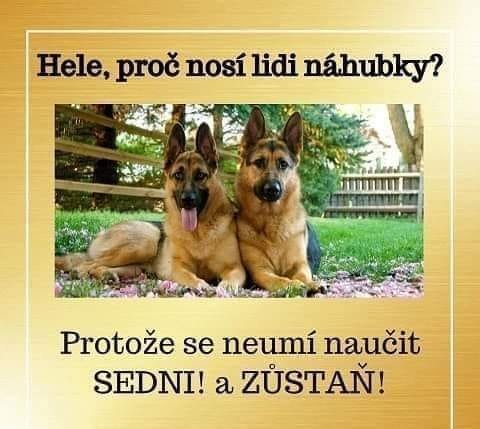 _nc_ohc=bjg-NpZixqQAX9z-TBK&_nc_ht=scontent-prg1-1.jpg