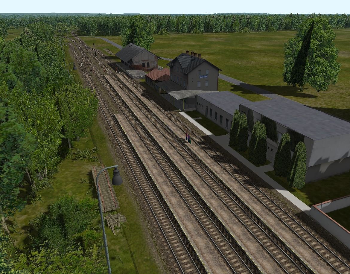 3011mutenice2.JPG