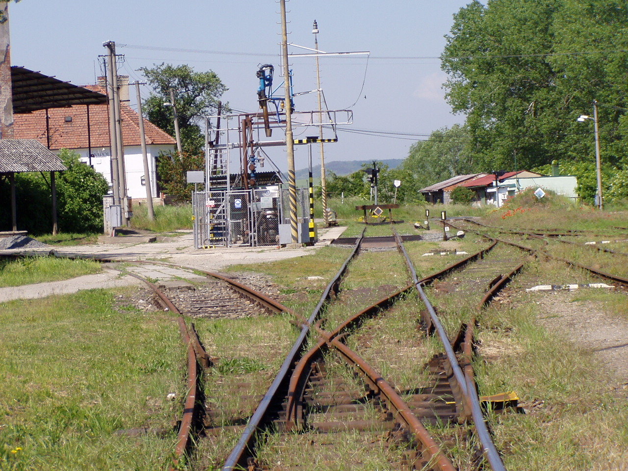 P5300045.JPG