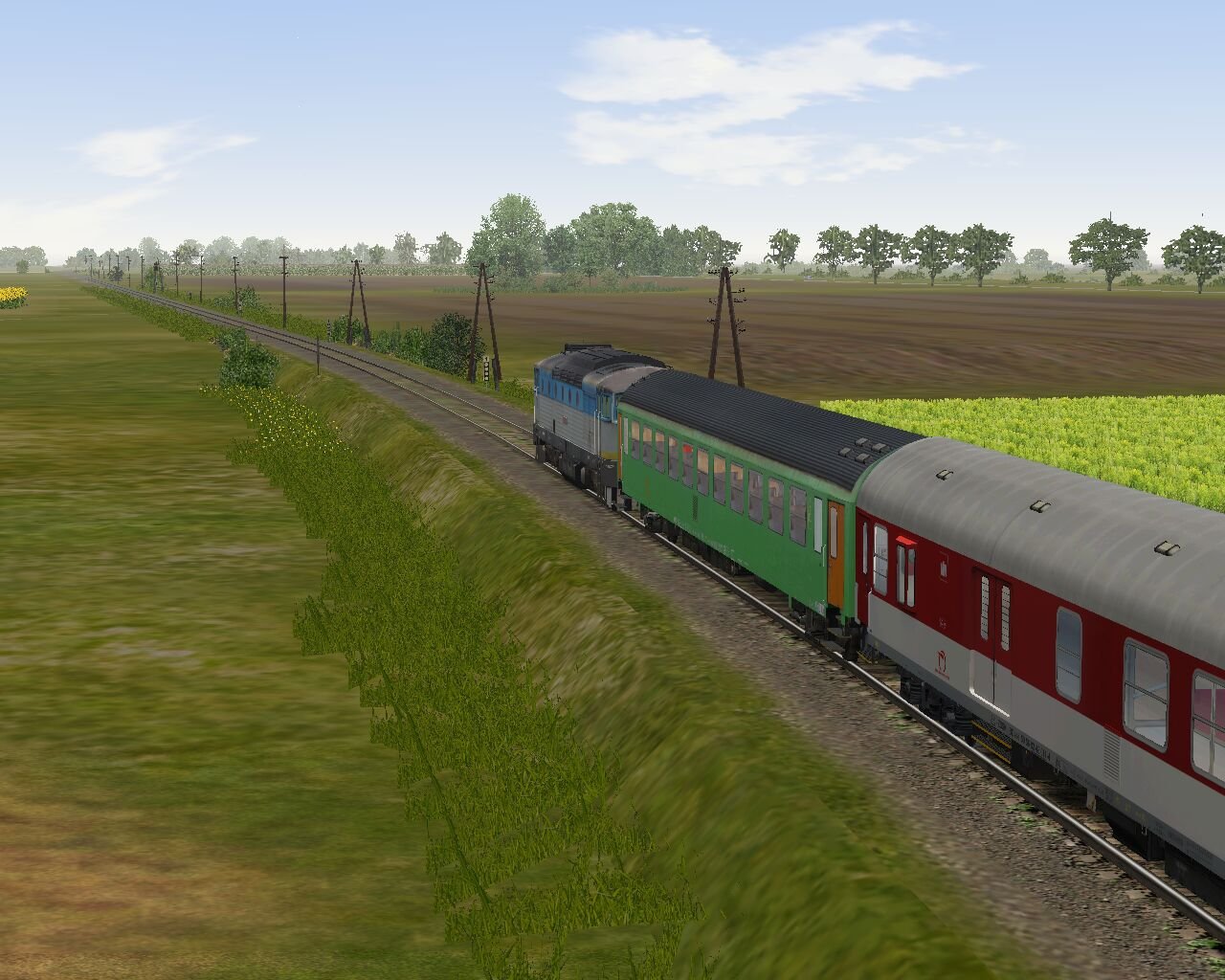 005.jpg