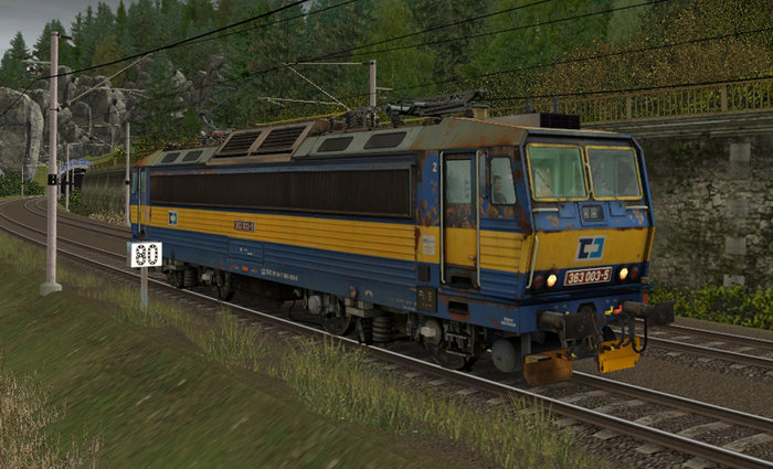 363_003TRS.jpg