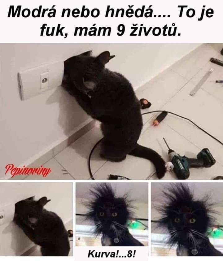 elektrikar.jpg