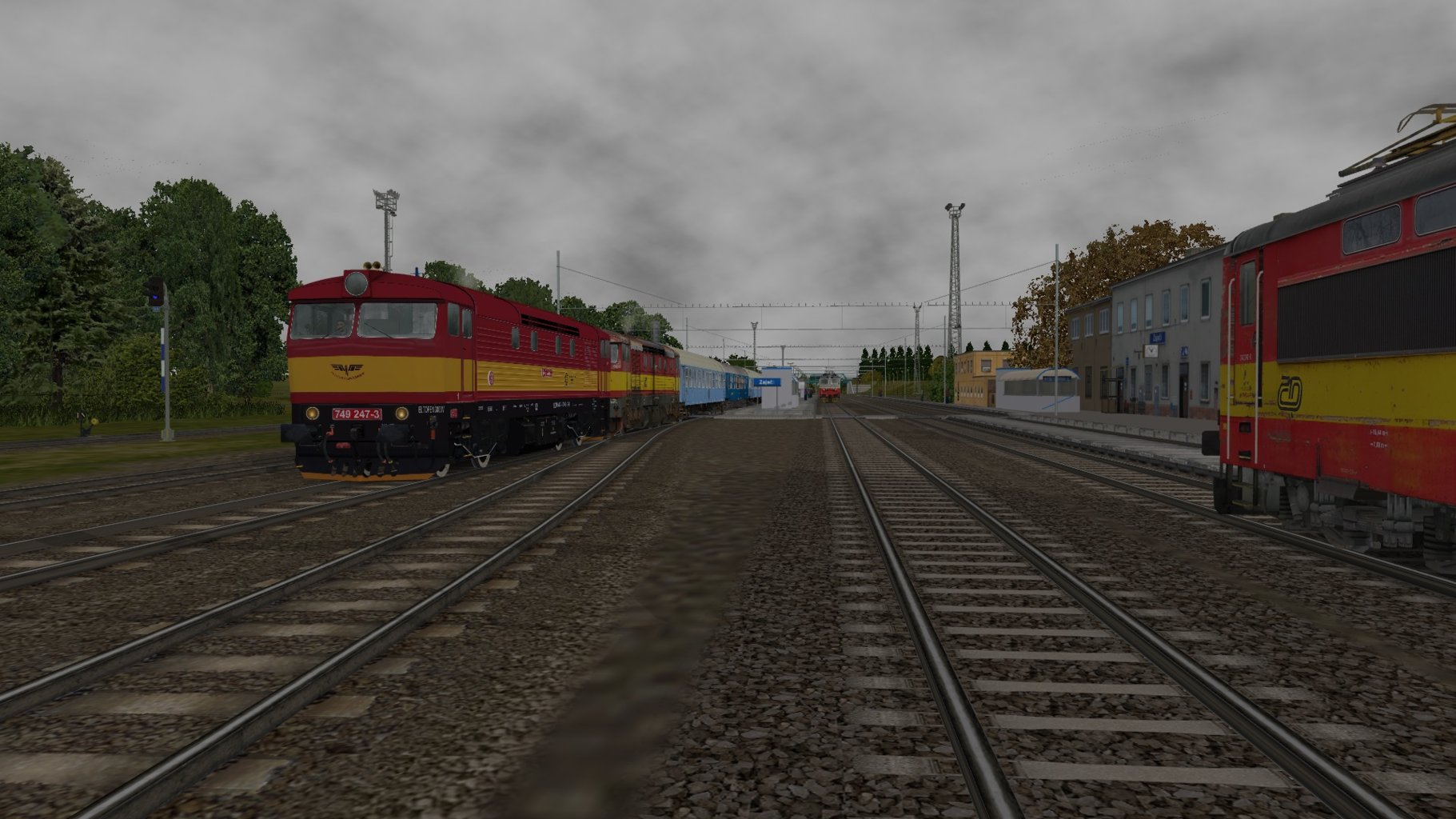 Vin011.jpg