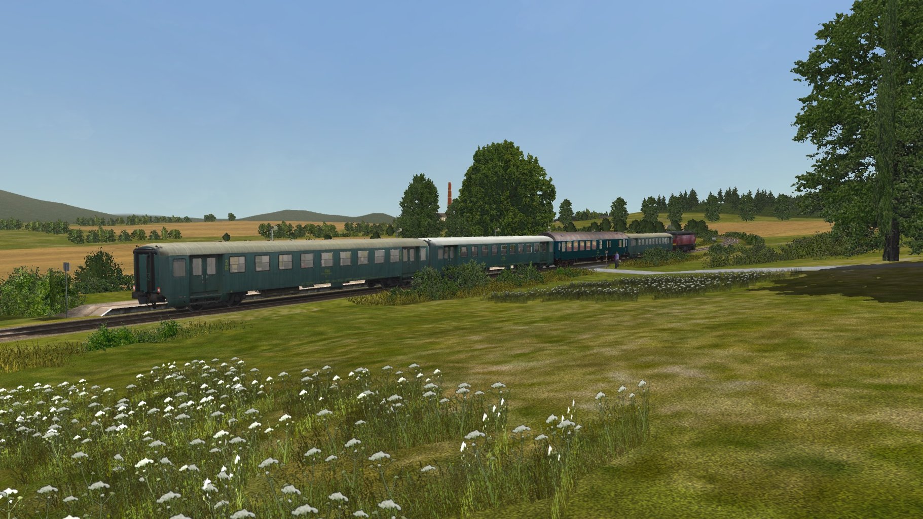 Os3606_008.jpg