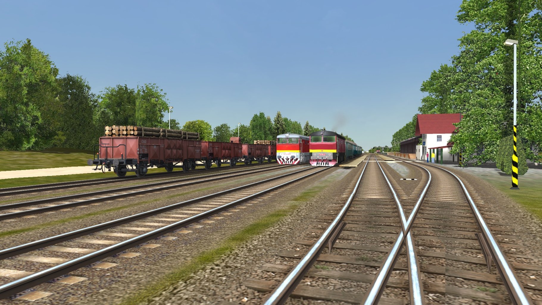 Os3606_009.jpg