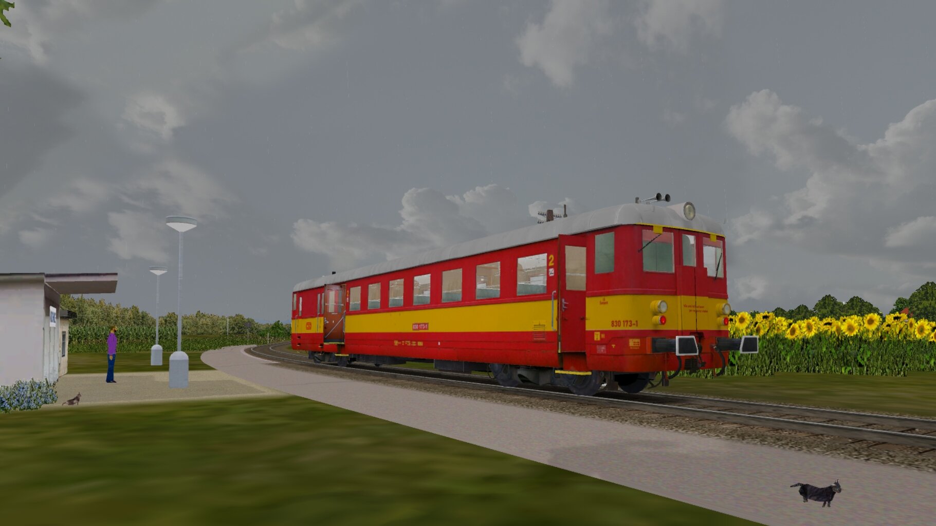 sich2_017.jpg