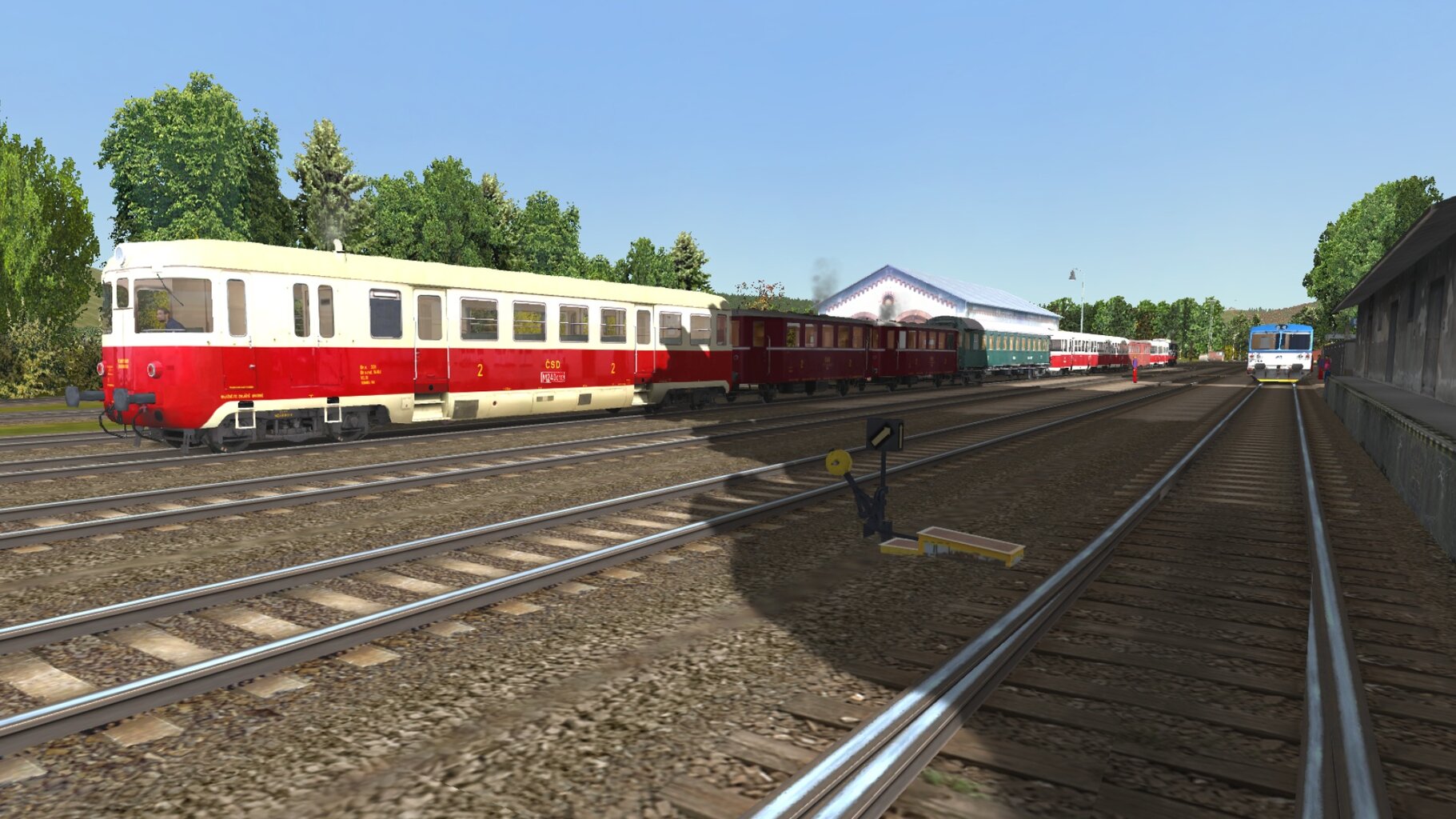 d_lipka_004.jpg