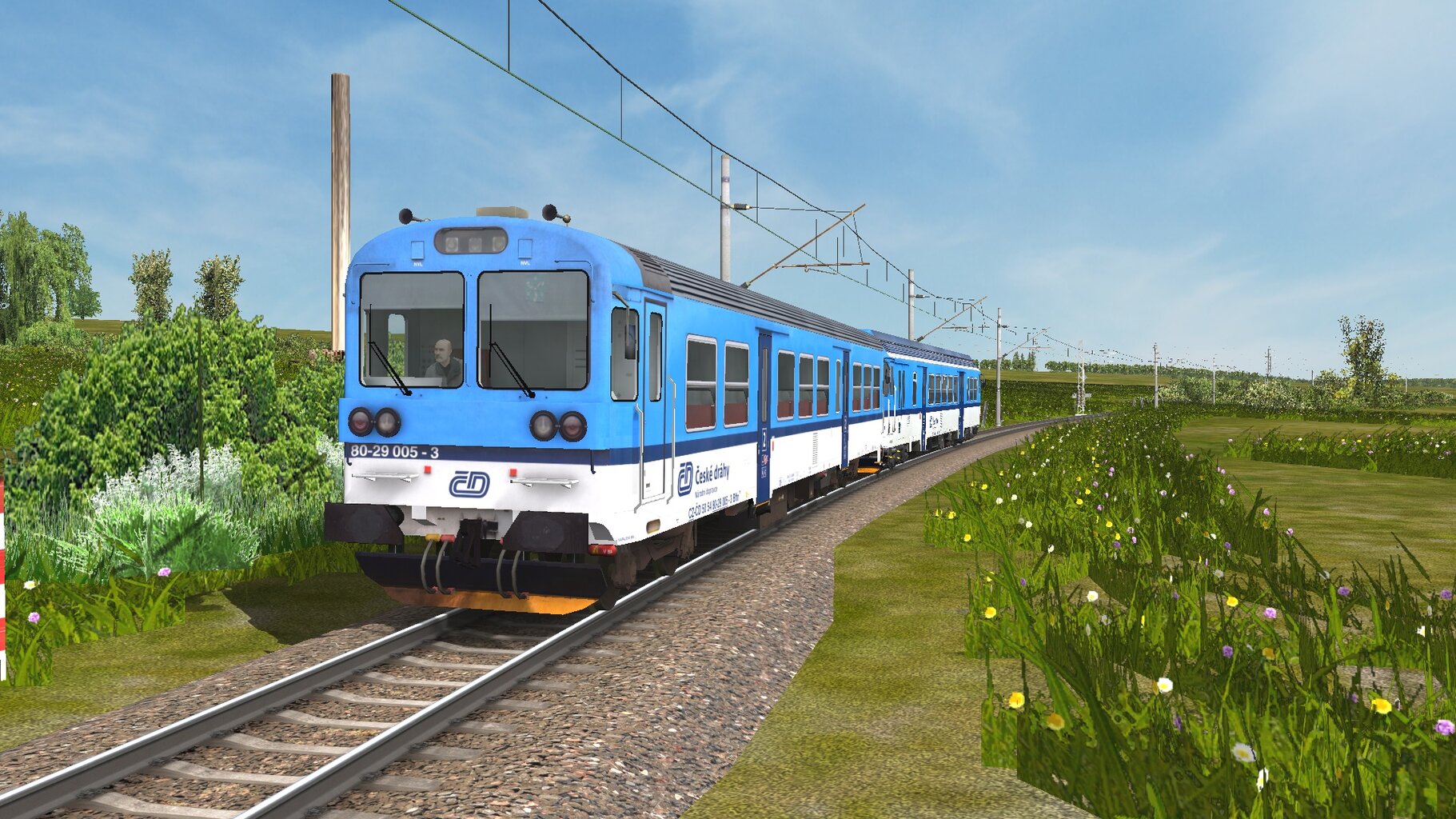 943005v2.jpg