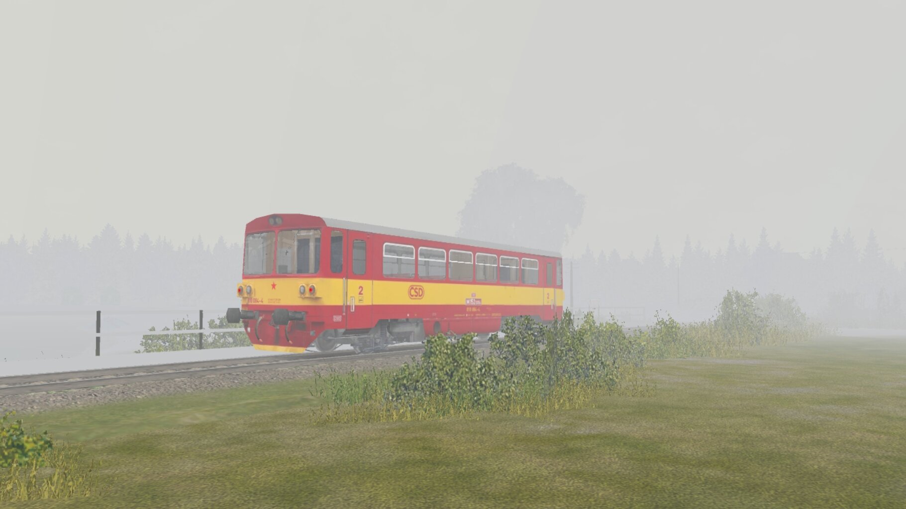RT-ORCZ_012.jpg