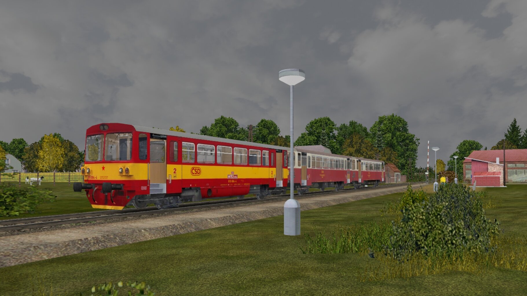 RT-ORCZ_017.jpg