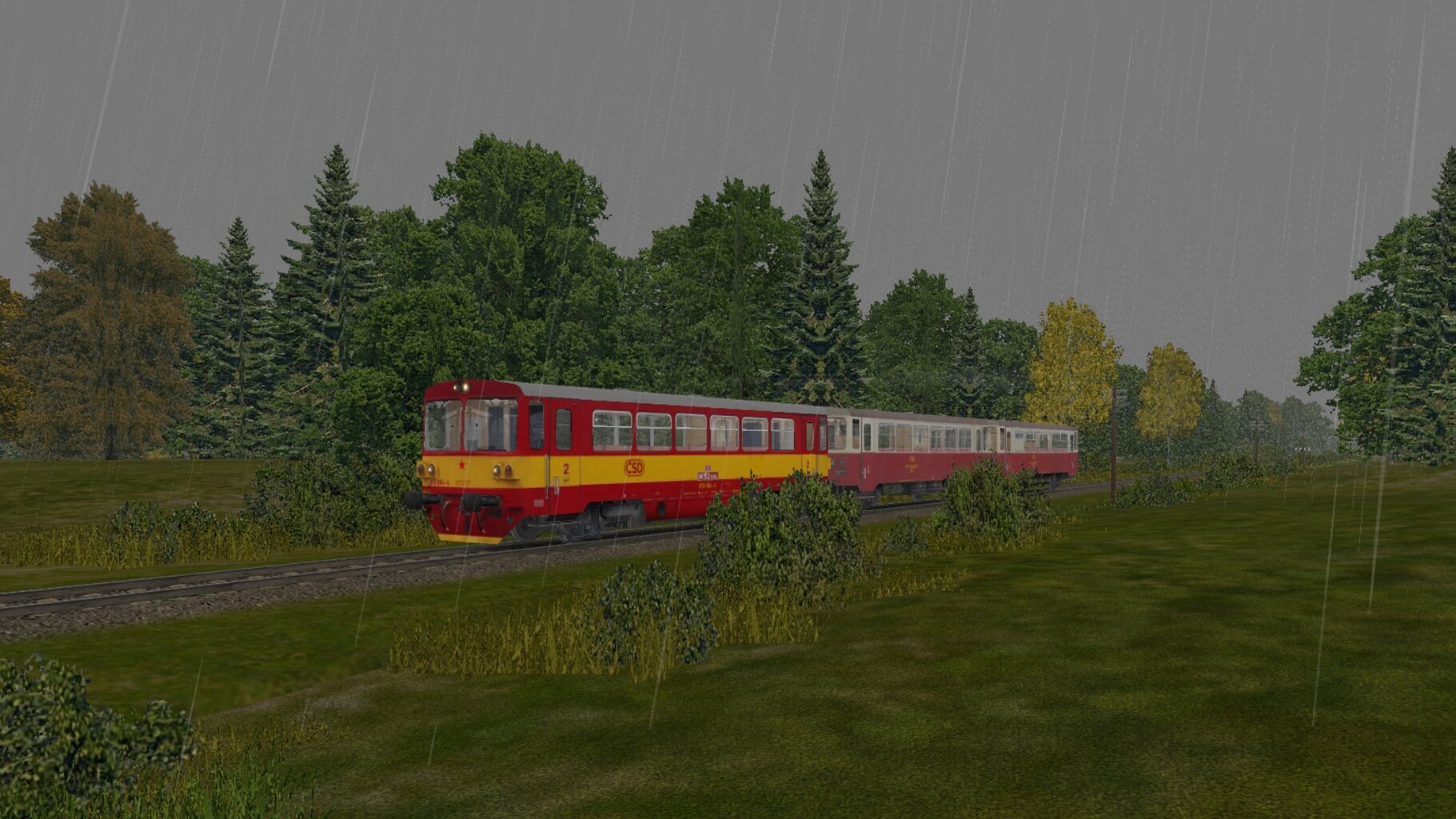 RT-ORCZ_018.jpg