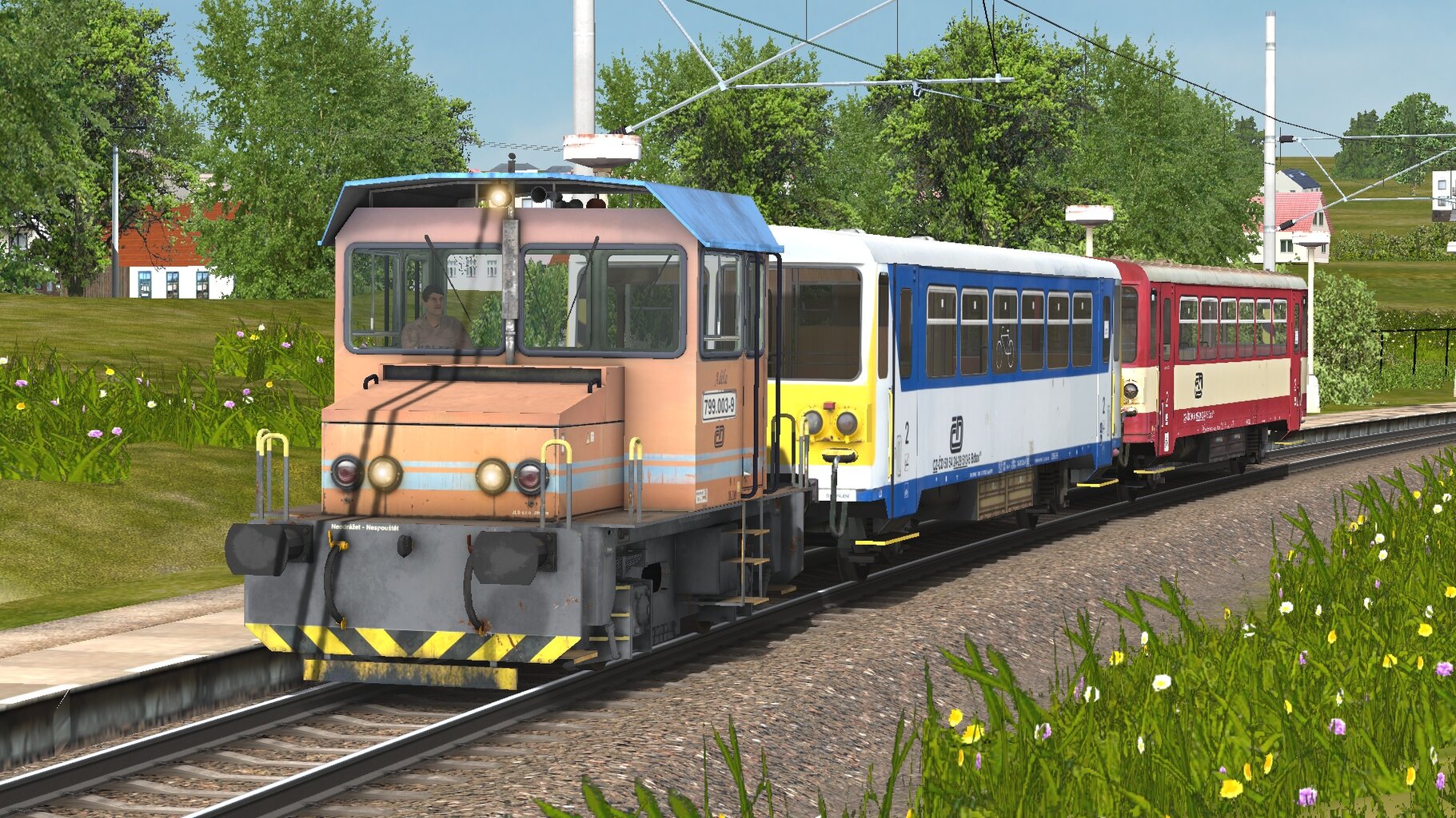 799003_OR.jpg