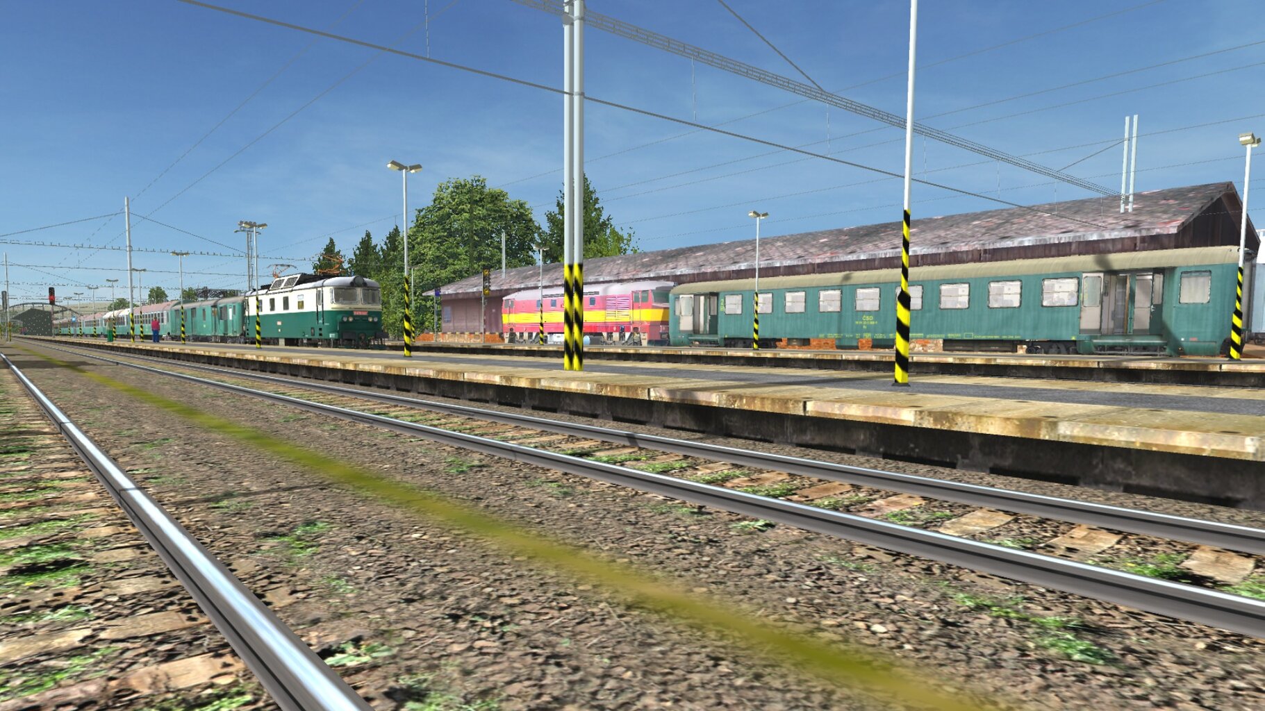 Os5009_022.jpg