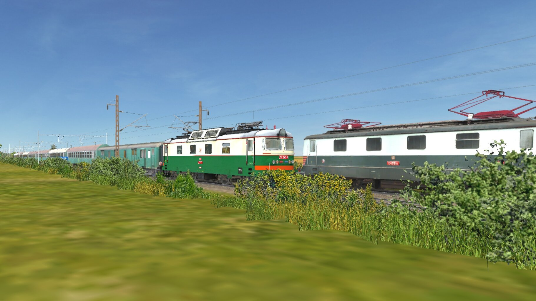 Os5009_010.jpg