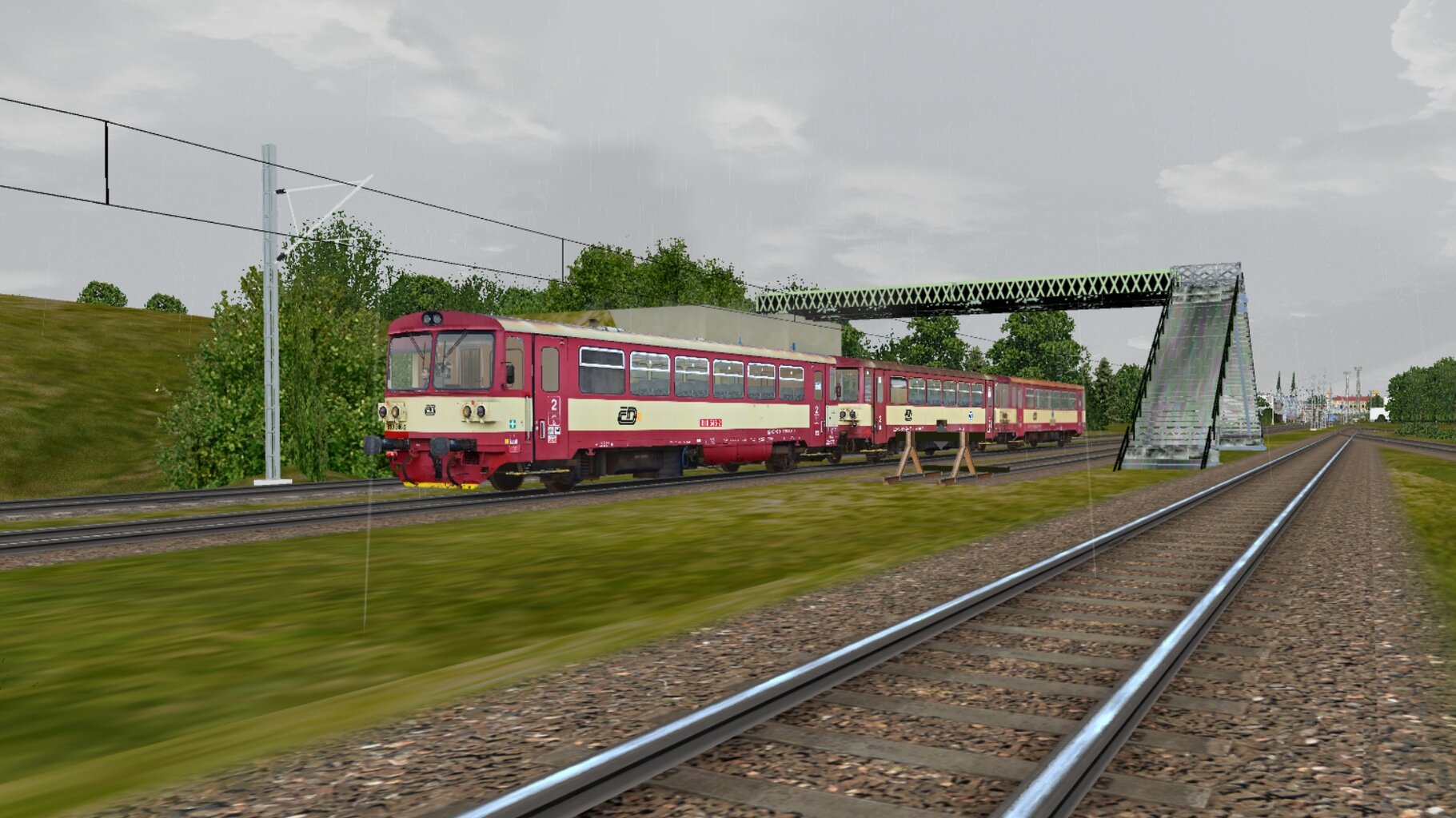Os13431_002.jpg