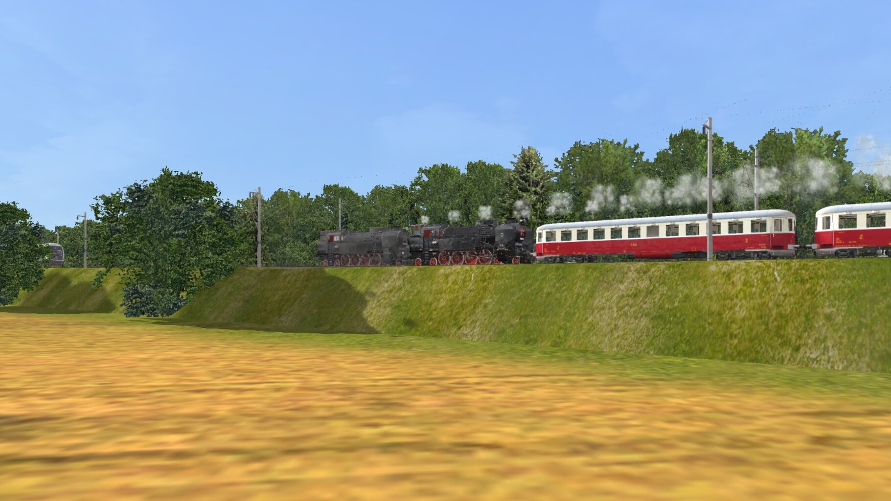 LS_061.jpg