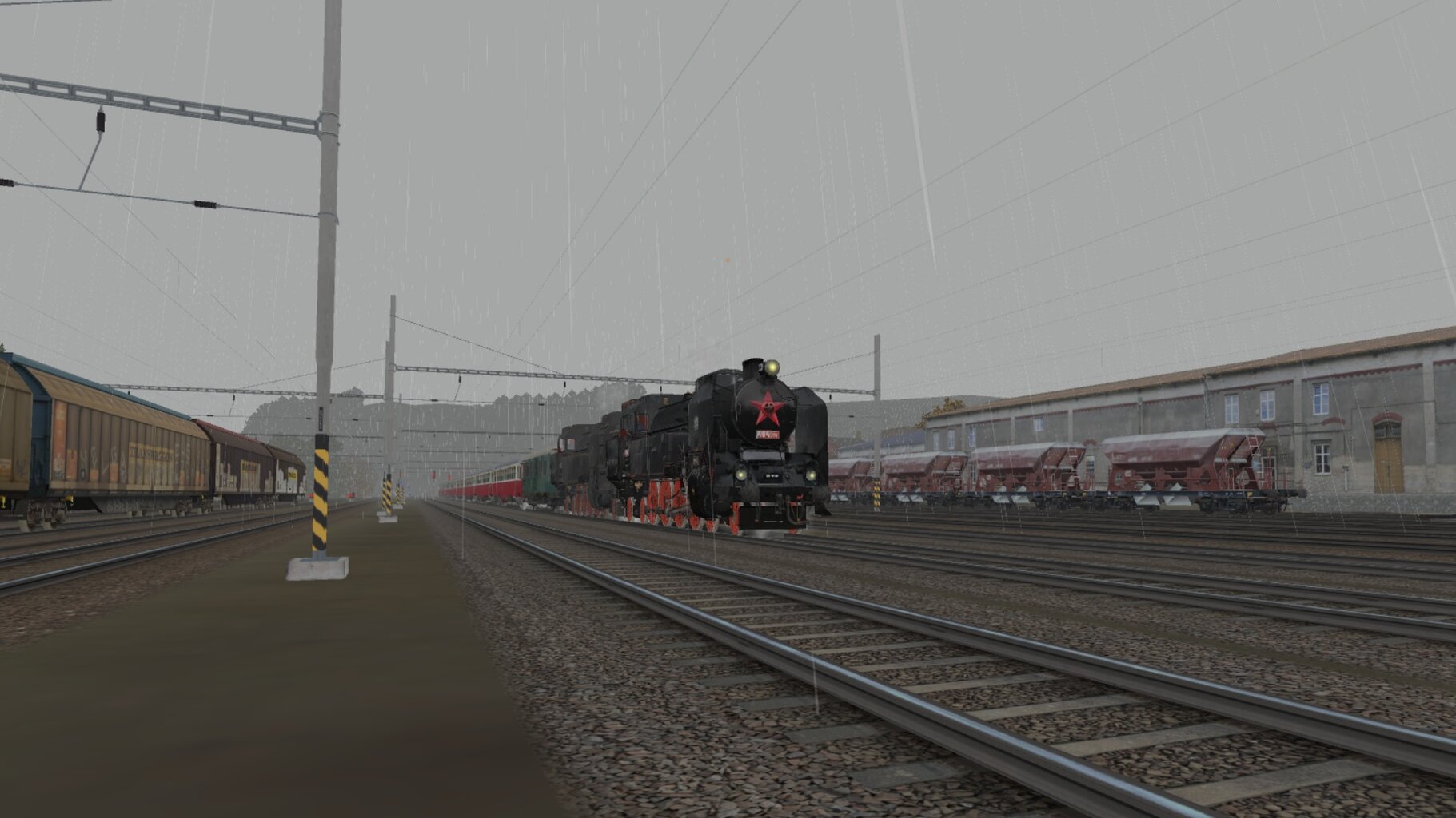 LS-NP_019.jpg