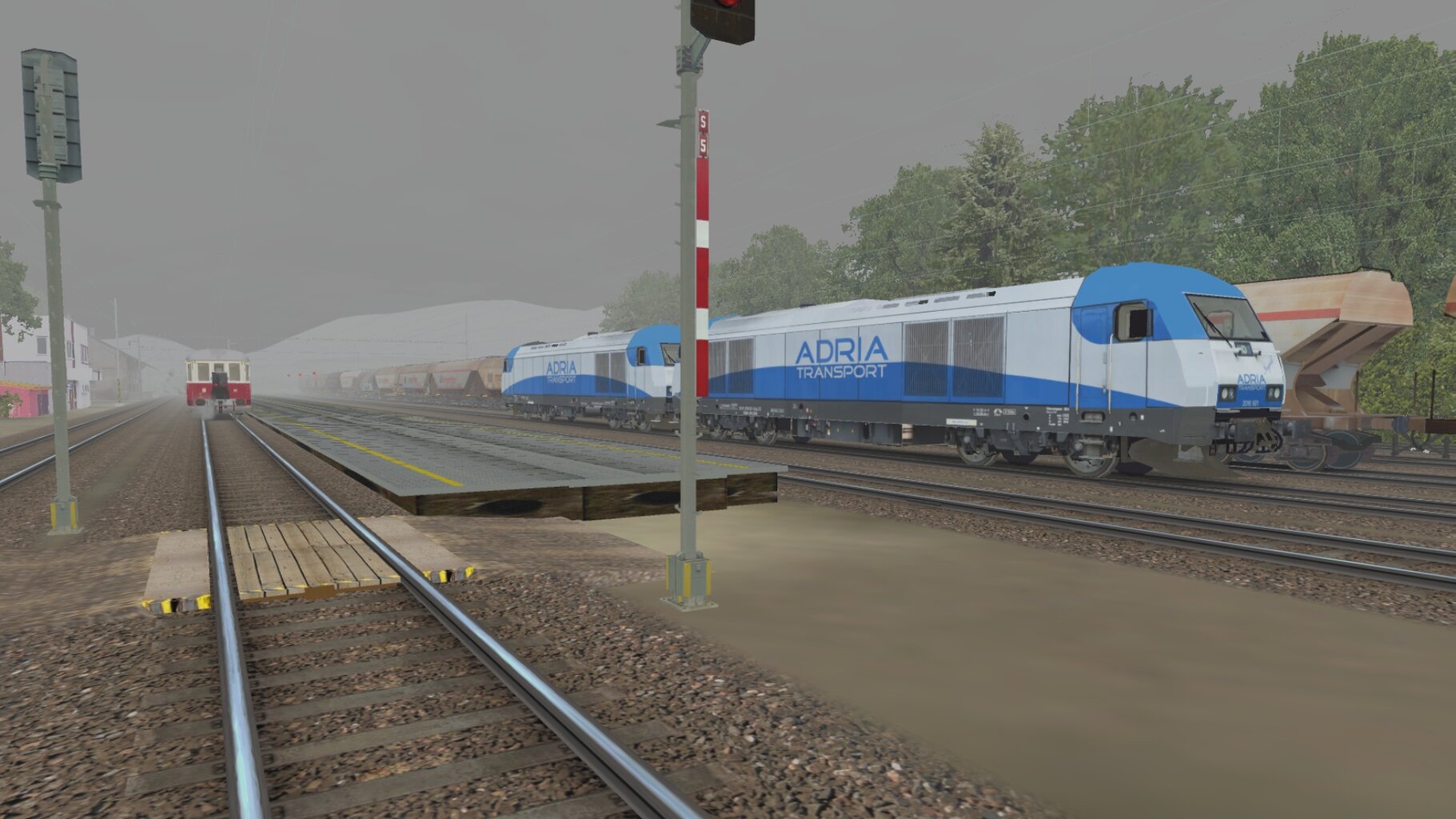 LS-NP_026.jpg