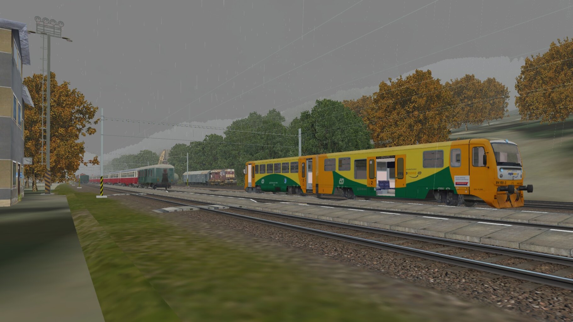 LS-NP_035.jpg