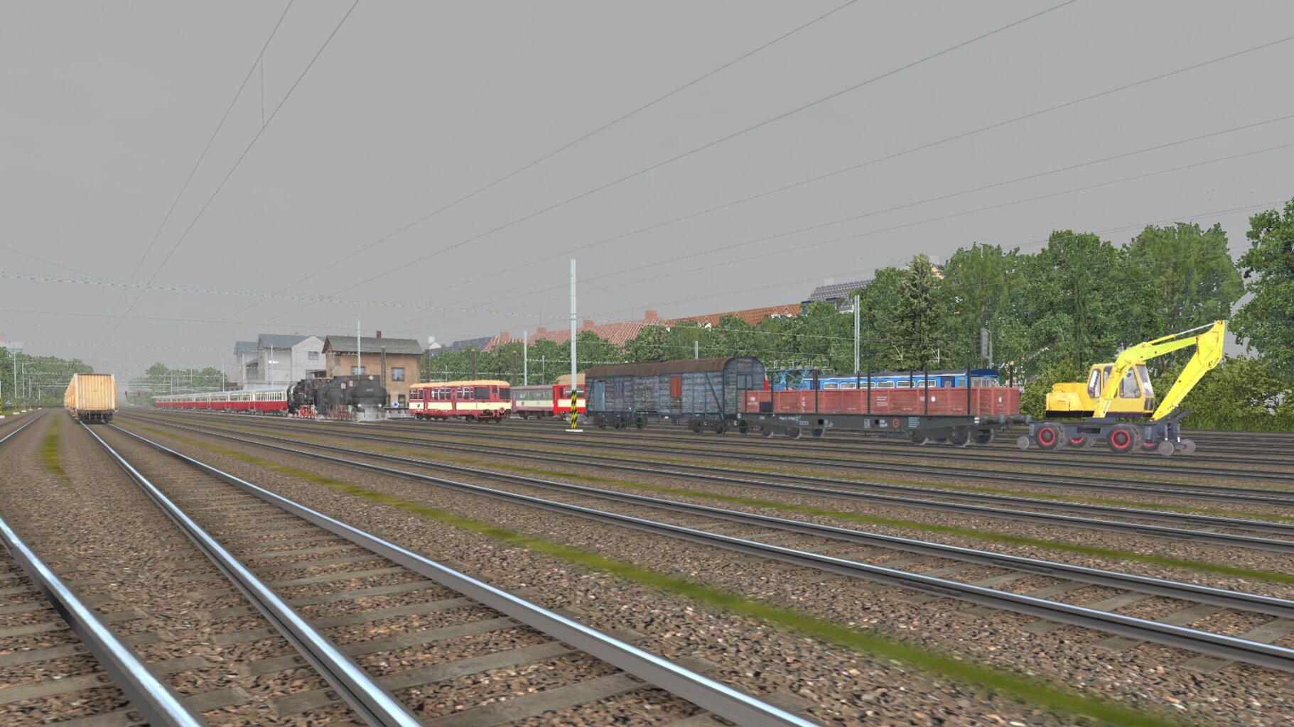 LS-NP_061.jpg