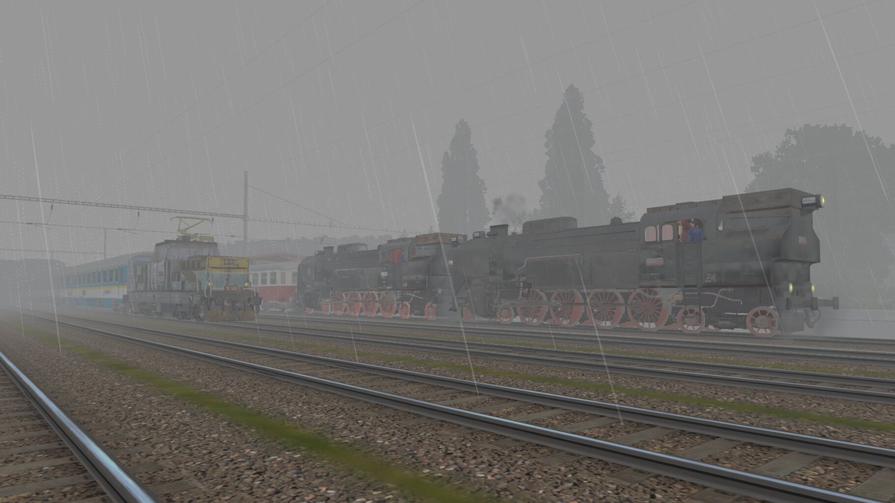 LS-NP_066.jpg