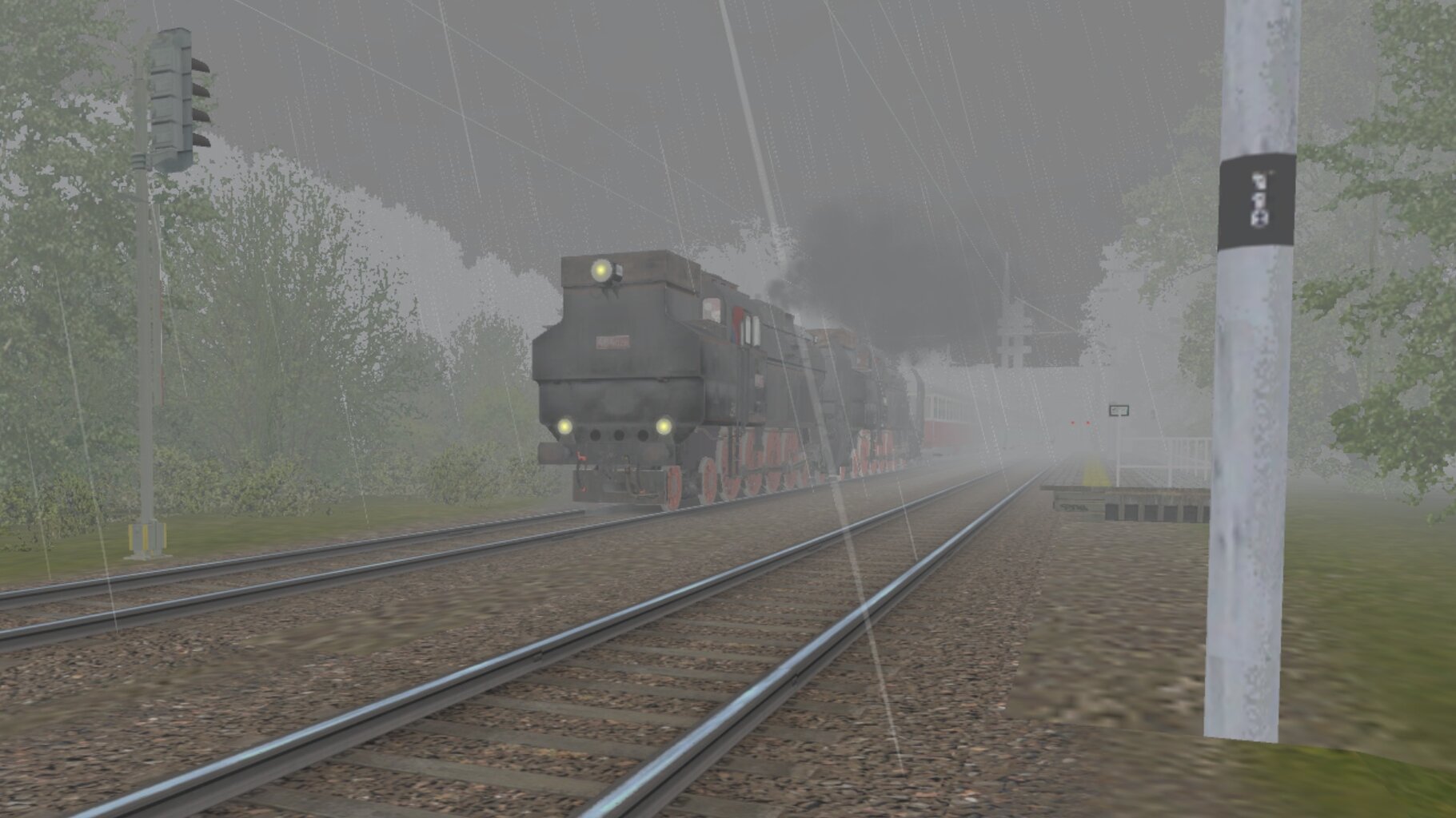 LS-NP_067.jpg