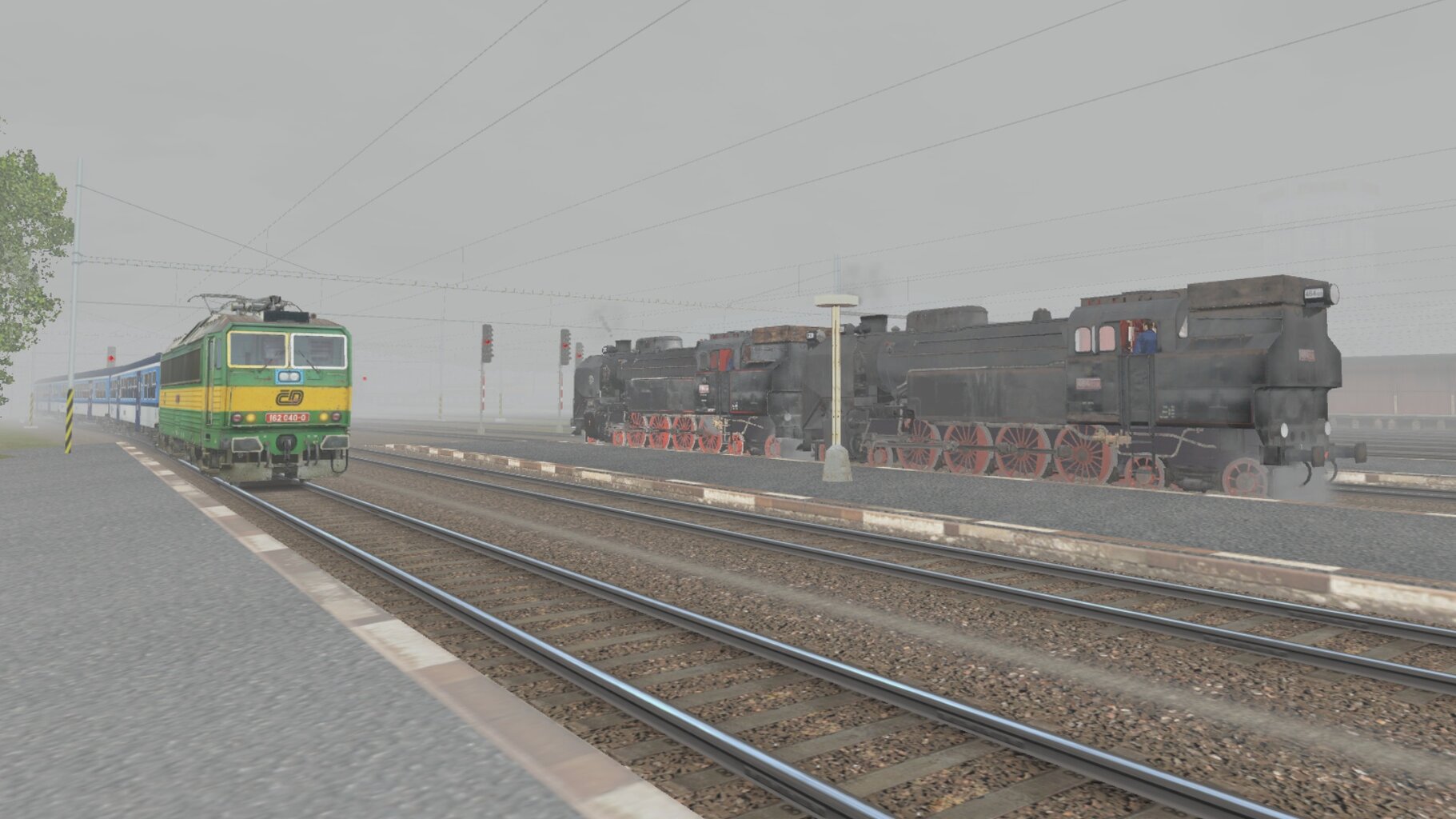 LS-NP_073.jpg
