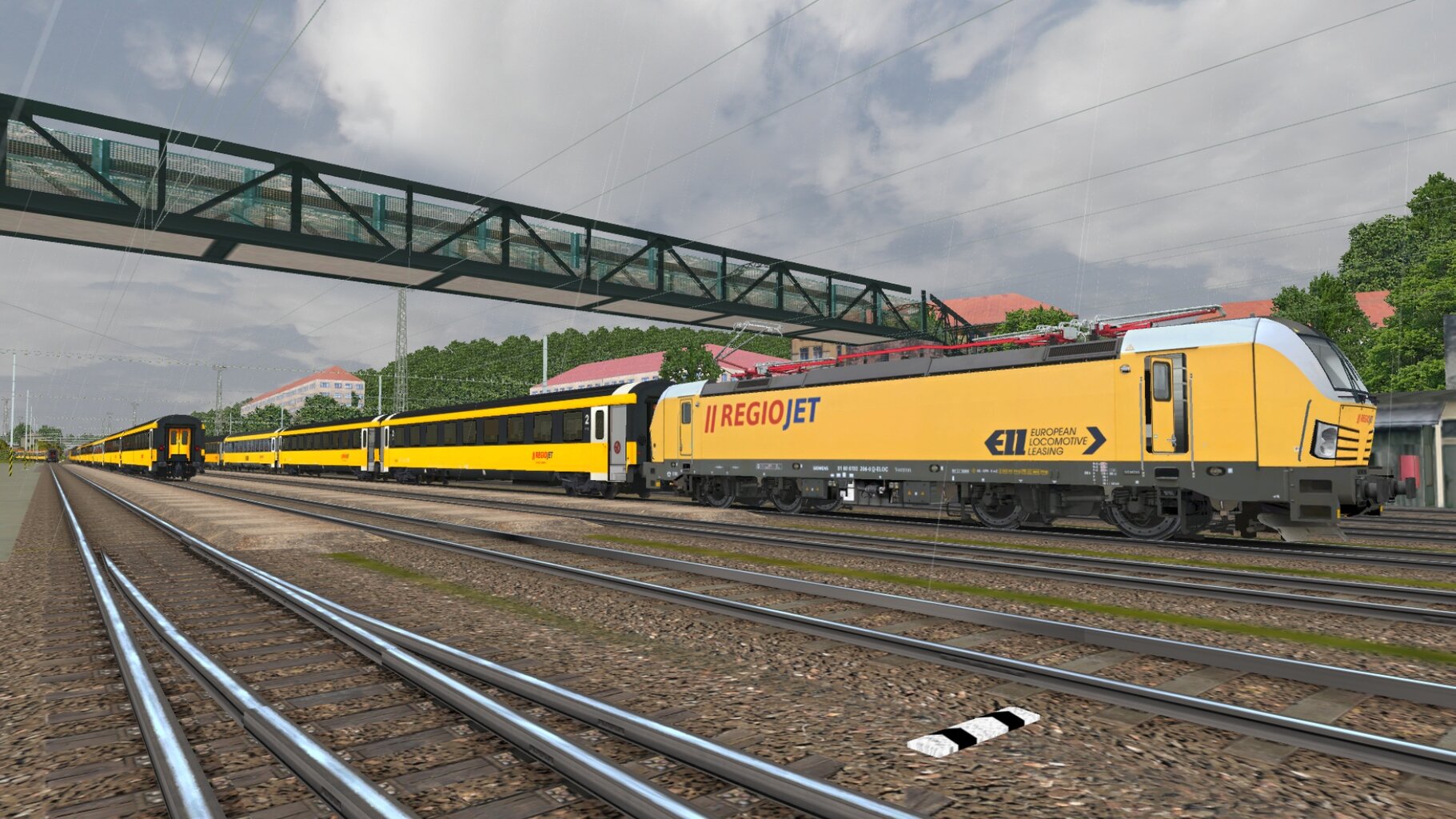 LS-NP_082.jpg