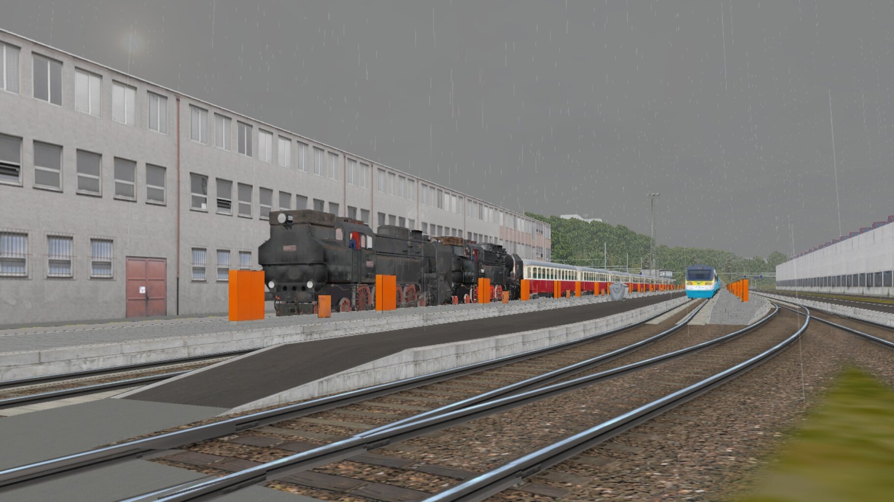 LS_091.jpg